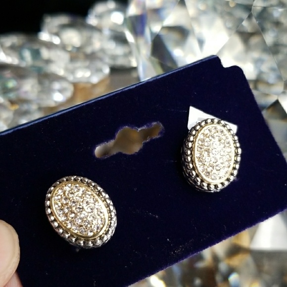 Rhinestone Cable Wrap Pebble Bezel Earrings - Picture 8 of 8